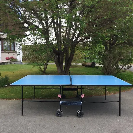 Lejlighed Le Chamois Gérardmer