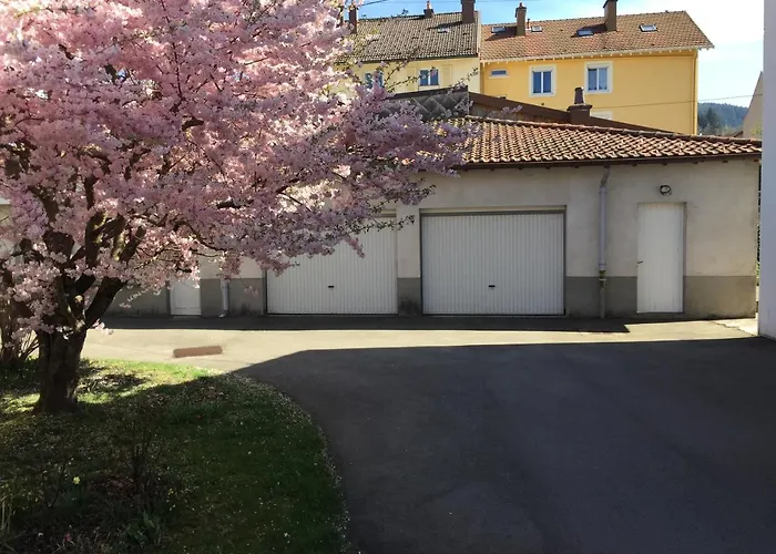 Apartment Le Chamois Gerardmer